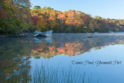 Dennis Pond, Yarmouth, MA. View of pond with autumn leaves reflected on water.